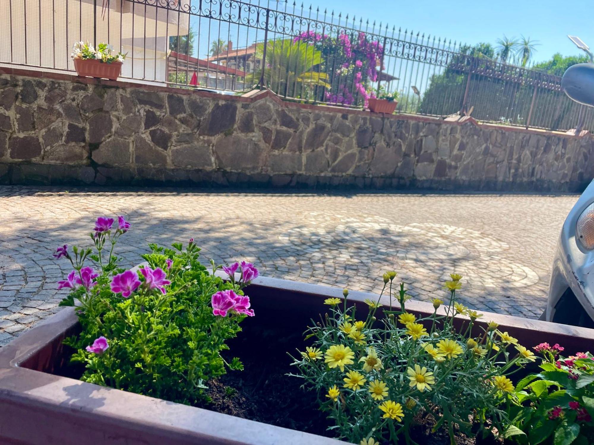 Da Ste Apartamento Ercolano Exterior foto